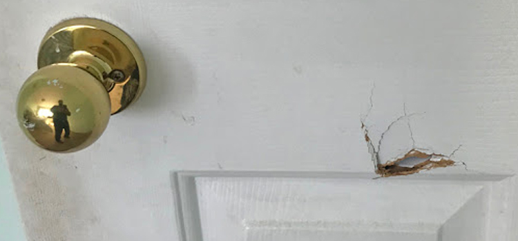 interior door hole repair Huntington Park